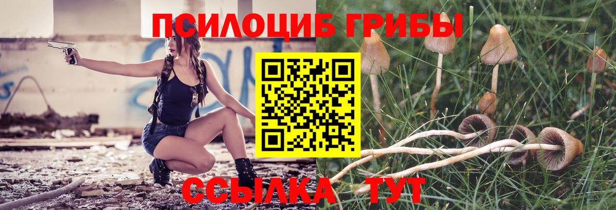 Галлюциногенные грибы мухоморы  Вход с VPN  Костомукша 
