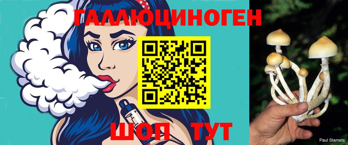 Галлюциногенные грибы Psilocybe Костомукша