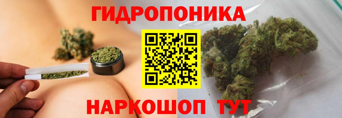Бошки Шишки THC 21%  Вход с VPN  Костомукша  Бошки марихуана THC 21% 